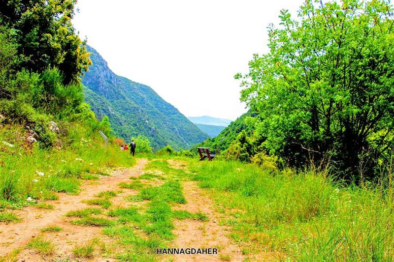  wadialsalib  lebanon  lebanon🇱🇧