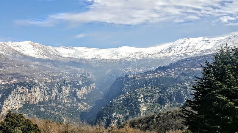  wadiannoubin  natural  green  wight  blue  instagreen  instawhite ... (Wadi Annoubin)