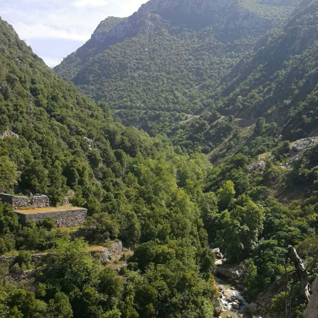  wadisalib  qlaiaat  kfardebian  kesrwan  lebanon  hikingtrails  hiking ...