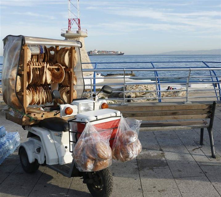 Waiting for the breakfast  shipment  from  lebanon ... thisislebanon79 ... (Beirut, Lebanon)