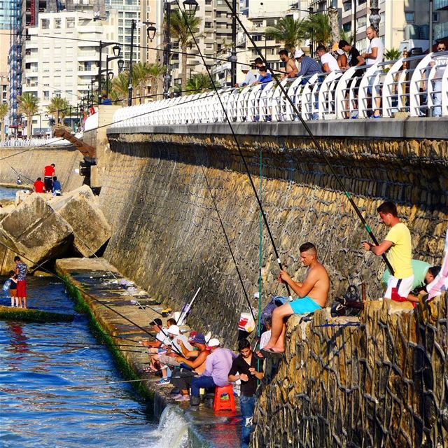 Waiting in line...🎣🎣 beirut  lebanon  splash  sea   bluesea  rocks ... (Ain El Mreisse, Beyrouth, Lebanon)