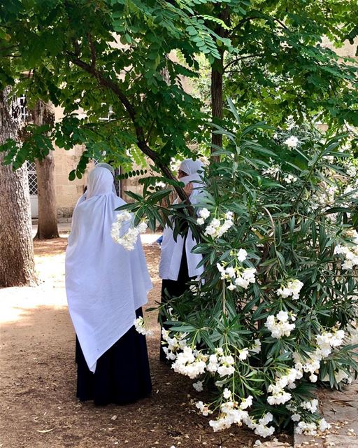 Waiting patiently and chatting.  druzewomen  livelovechouf ... (Beiteddine)