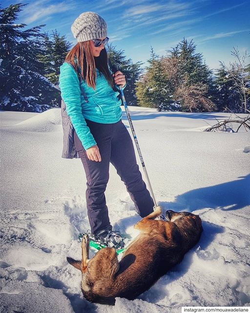 Wake up ...we gonna move🐶.... snow  livelovelife  livelovenorth ... (Hadath El-Jubbah, Liban-Nord, Lebanon)