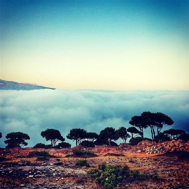 Waking up to this!! nature fromwhereistand photography livelovelebanon...