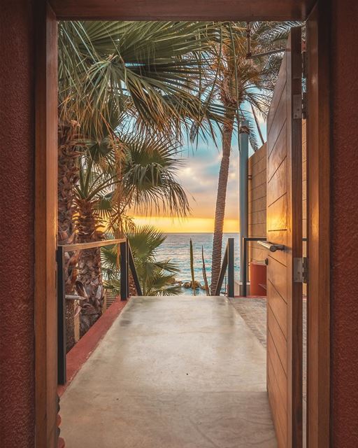 Walk into paradise 🌅🌴Photo taken with the Canon 7D Mark 2 📸 (Batroûn)