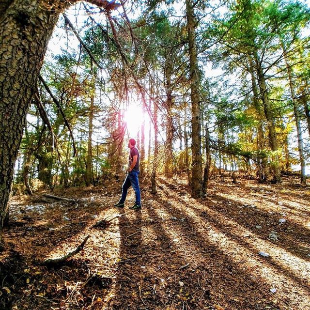 Walk on the wild sidePhoto by @jack_boyadjian ....... nature ... (Al Shouf Cedar Nature Reserve)