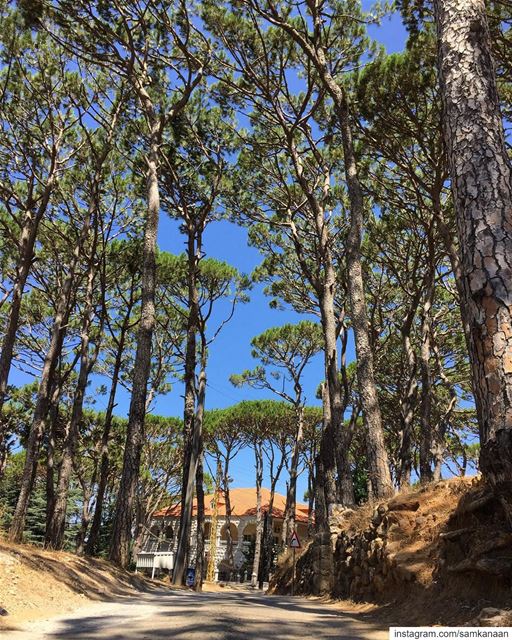  walk  outdoors  nature  microadventure  neverstopexploring ... (Falougha, Mont-Liban, Lebanon)