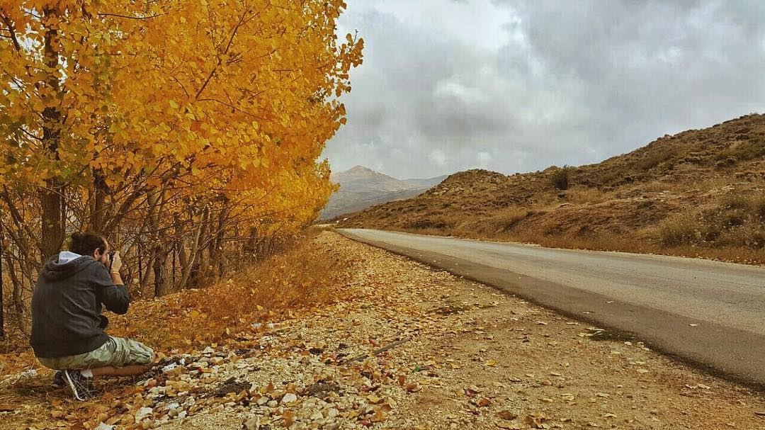 'walk the extra mile; wait the extra minute...'''' photography ... (Tannurin Al Fawqa, Liban-Nord, Lebanon)