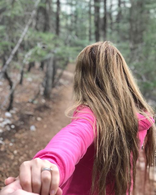Walk with me through AlBarouk 🌲 (Arz el Bâroûk)