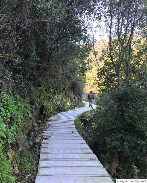 Walk ‼️.... ............... lebanon  nature  landscape ... (Lebanon)