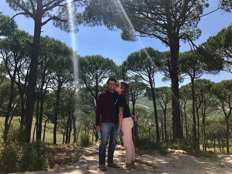 Walking among the Pines 🌲😘 @alihoteit_84   instaphoto  pines  lebanon ...