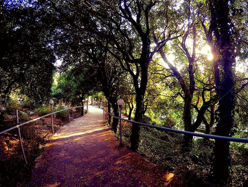 Walking by faith 🤞🏻 meziara  zgharta  lebanon  northlebanon  path ... (Miziâra, Liban-Nord, Lebanon)