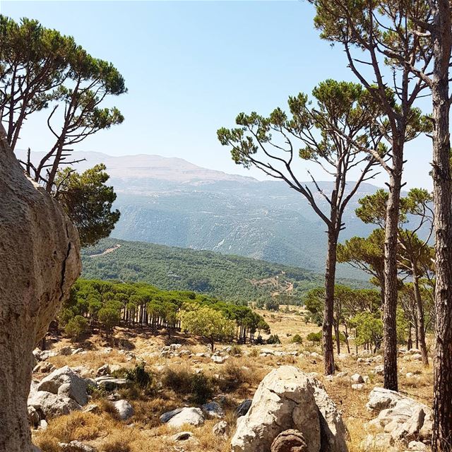 Walking in the mountains surrounding the village of Mtein. A great...