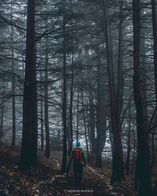 Walking though the valley of the shadow of death ✨-- lensebible ... (North Governorate)