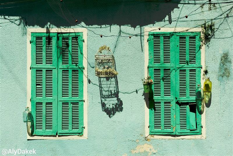 Wall EyEs 🏠 🐦 aqua  old  windows  houses  tyre  lebanon  lebanonbylocal... (Tyre, Lebanon)