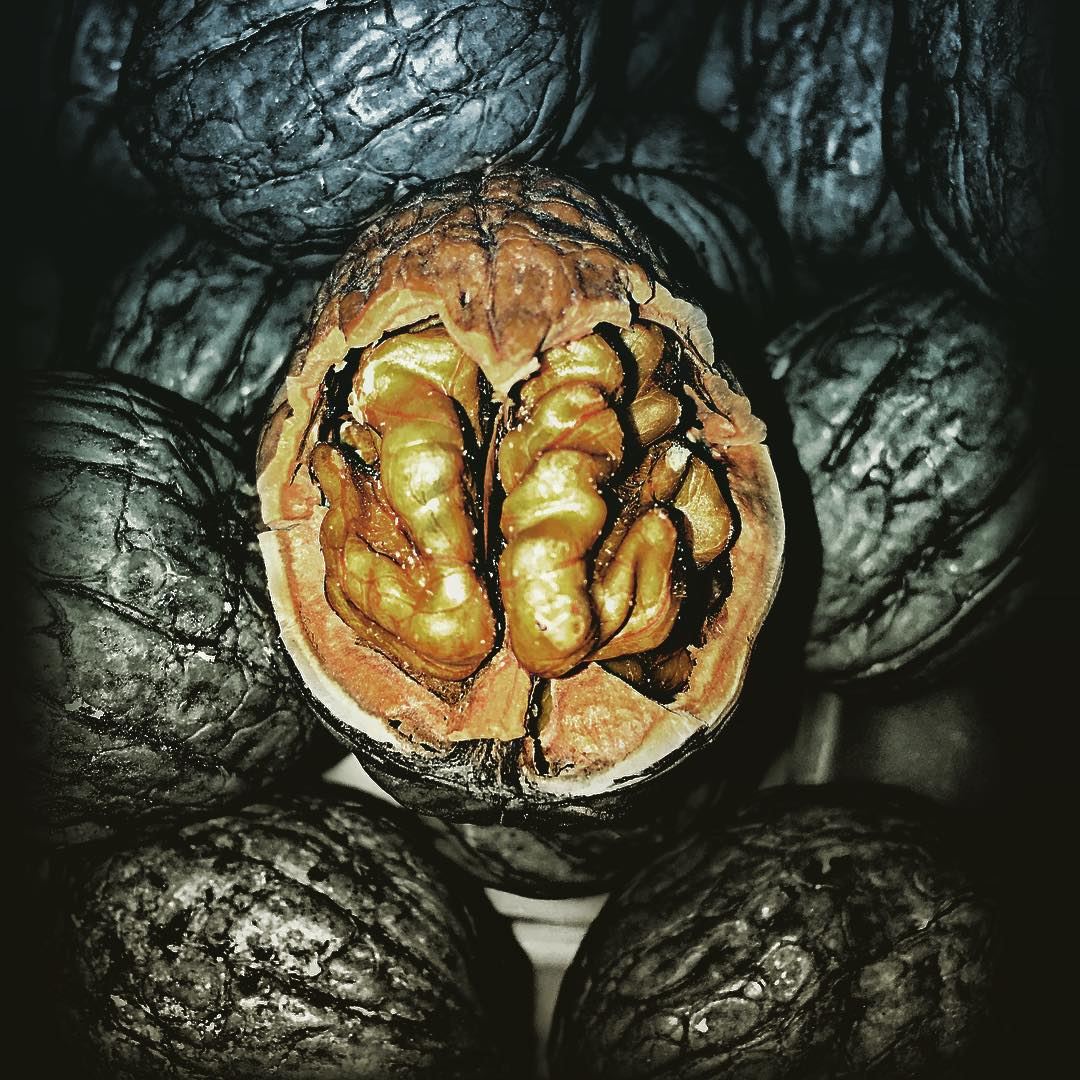  walnut  lebanon  brain ...