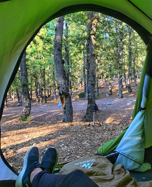 Wander often, wander always! ⛺️ (Lebanon)