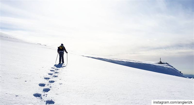 Wander until you find your destination ❄ (Zaarour Club)