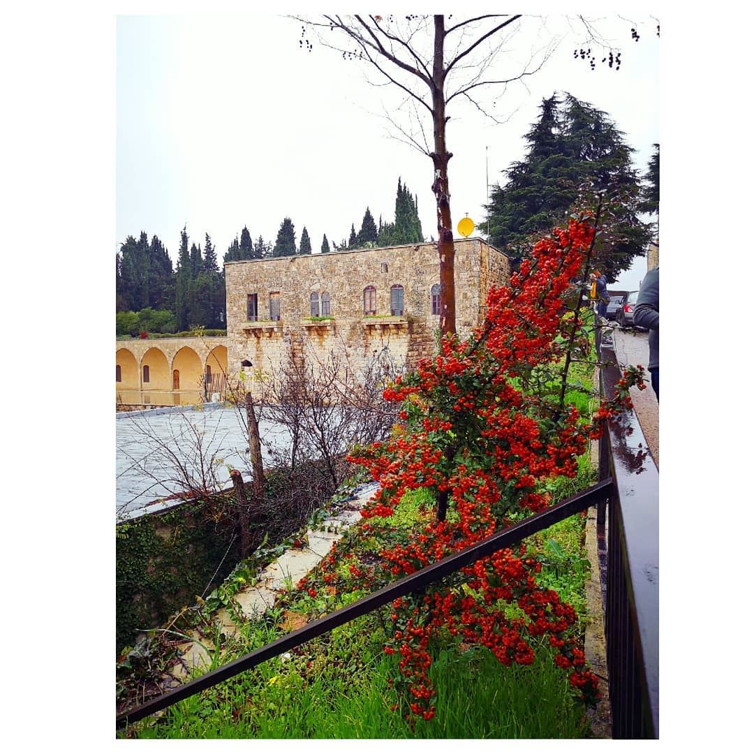 Wandering in my own country 😍  Roadtrip  chouf  winter 🇱🇧---... (Beiteddine Palace)