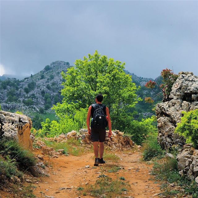 Wanderlust or wander lost 🤔  throwback with the  birthdayboy @michel__doum (Ehmej, Mont-Liban, Lebanon)
