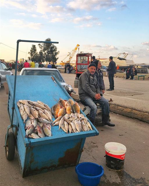 Want to know how I edited this image? 10k likes and I'll show you! 🤣 Good... (Tripoli, Lebanon)