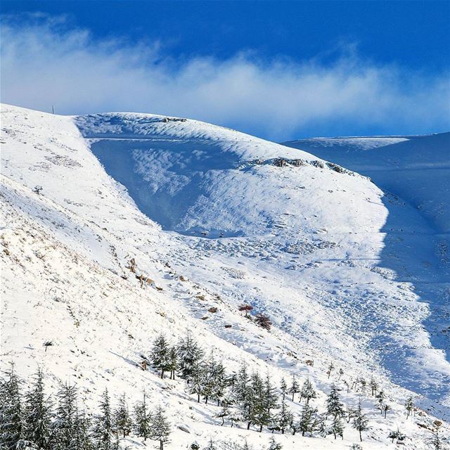 Warm or Cold? ☉☉❄❄ ____________________________________________________... (Faraya, Mont-Liban, Lebanon)