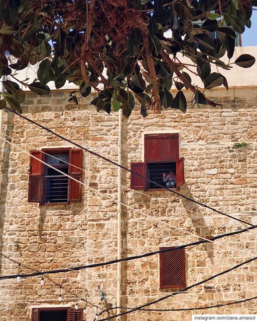 Watching the world from above 🧸!.. saida  sidon  lebanon  streets ... (Saïda, Al Janub, Lebanon)