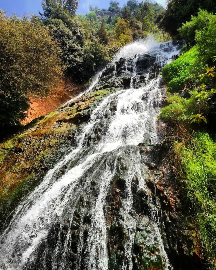  water is the  driver of  nature.. ouyounelsamak  akkar  watterfall ... (Ouyoun El Samak Waterfalls)