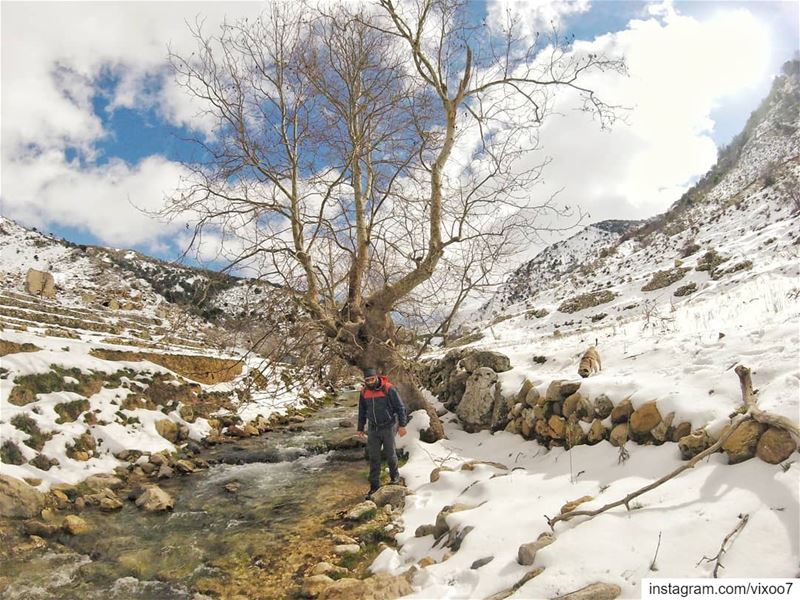 Water is the driving force of all nature.... river  snowday  snowland... (Jezzîne, Al Janub, Lebanon)