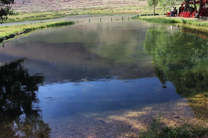  water  lake  reflection   trees  outdoor  livelovebeirut  whatsuplebanon ... (3youn Orghosh)