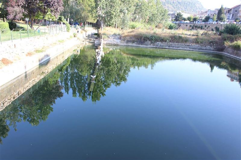  water  reflection  waterfront  tree  lake  nature  outdoors  day  beauty... (Jezzîne, Al Janub, Lebanon)