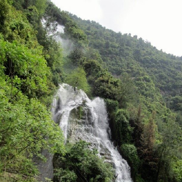 Waterfall in the heart of the rocky hill!!  waterfall  hill  insta_lebanon...