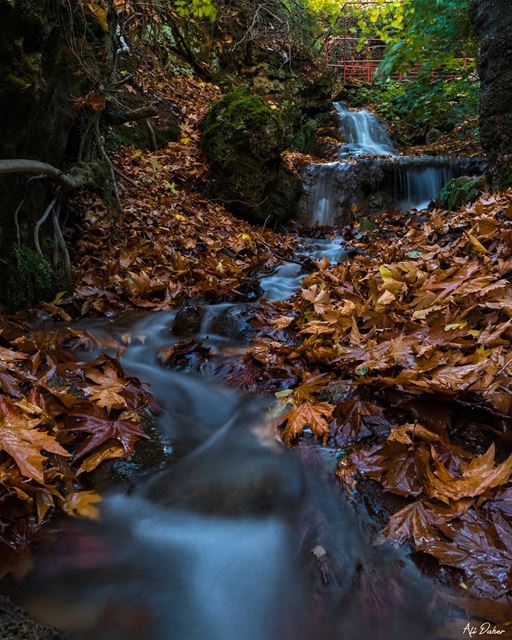 🍁🍁.... waterfall lake river paradise watershot landscape... (West Bekaa)