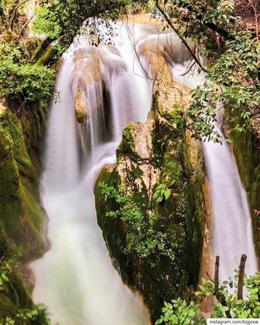 Waterfall of life. shotoniphone ..... natgeoshot  natgeotravelpic ... (Lebanon)