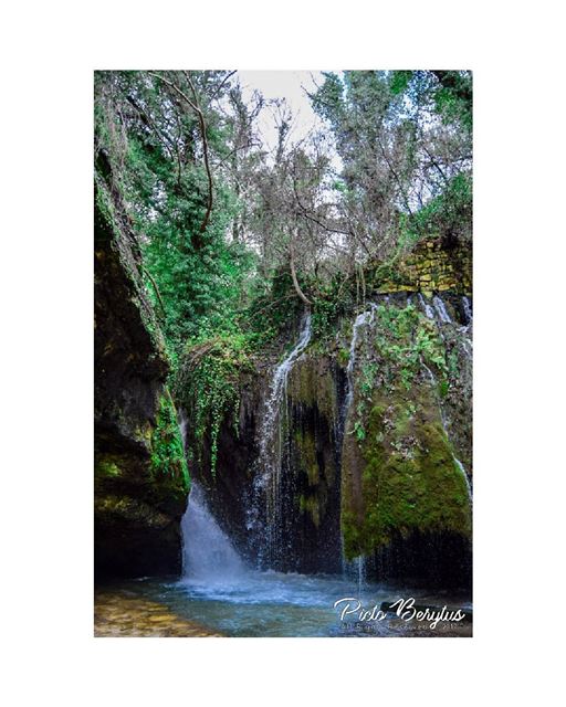 "Waterfalls are exciting because they have power, they have rainbows, they...