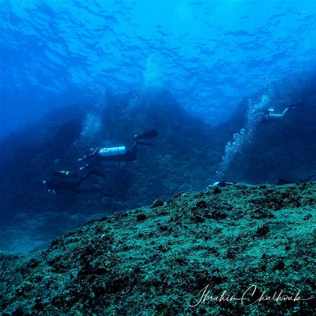 Waters of the island -  ichalhoub in  Tripoli north  Lebanon shooting ...