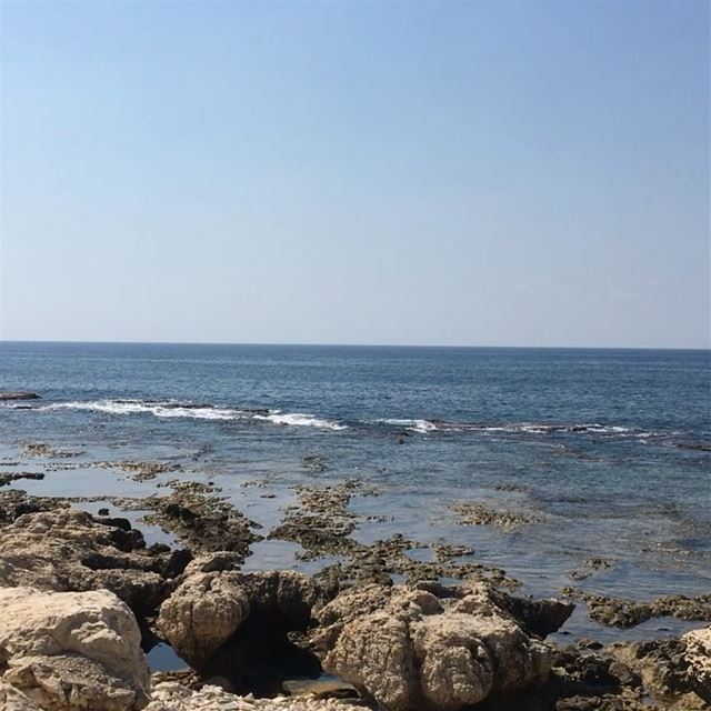 waves  mediterraneantaste  livelovelebanon  instagram ... (Amchit)