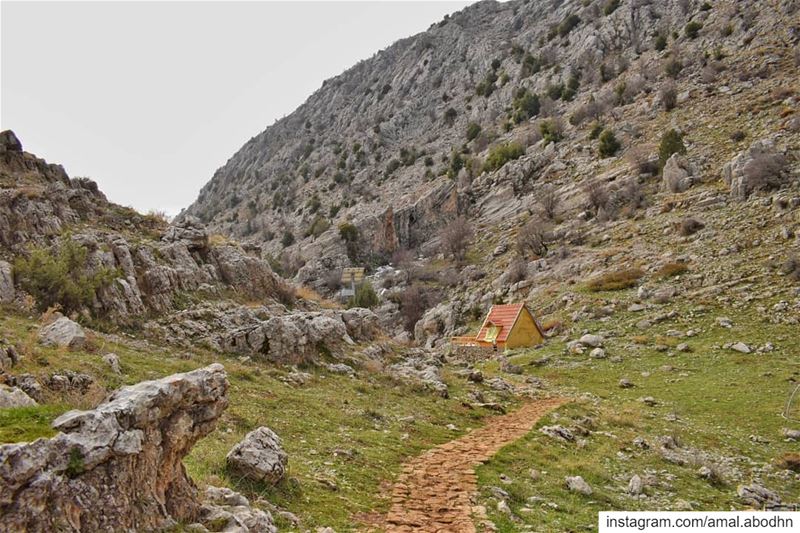 way to paradise 😍 ..... lebanon  photography  photographylovers ... (Bâloûaa Balaa)