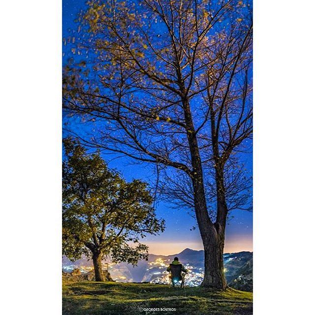 Way to reach ✨ nightphotography  georgesboutrosphotography  lebanon ... (Cedars of God)