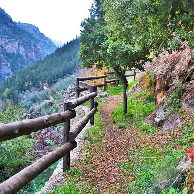 Way up to the monastery of kannubin ValleyLovely nature of Lebanon. . Is... (Quannoubin Valley)