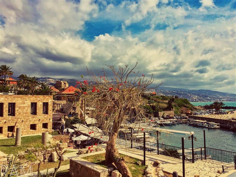 We accept the Love we think we deserve.______________________________... (Byblos, Lebanon)