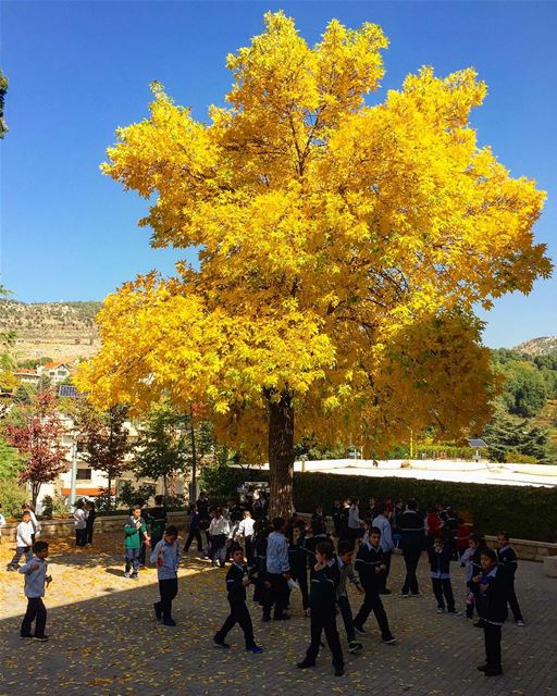 We all had a playroom growing up.. it was called “OUTSIDE” ........... (Ehmej, Mont-Liban, Lebanon)