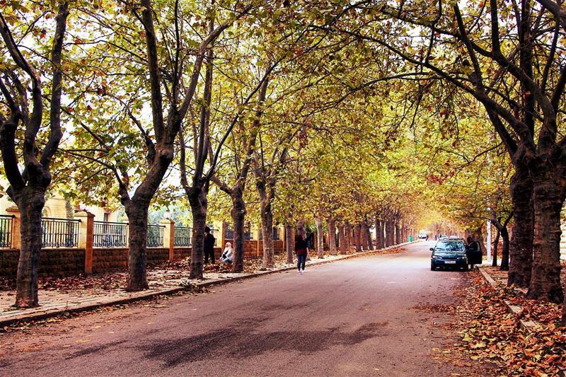 We all have our time machines. Some take us back, they're called memories.... (Cornish Sawfar)
