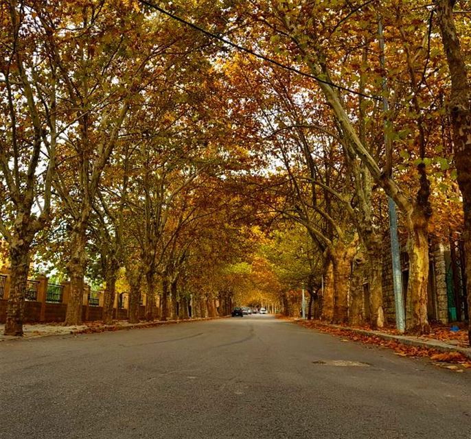 We all know that  autumnal  corniche 🍂 haveagoodmonday 🍂 from  sawfar... (Sawfar, Mont-Liban, Lebanon)