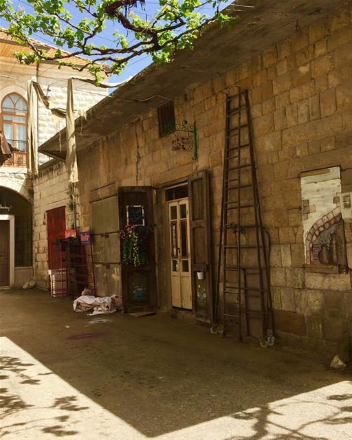 We all need an extra push in the morning to get up and start...... (Douma, Liban-Nord, Lebanon)