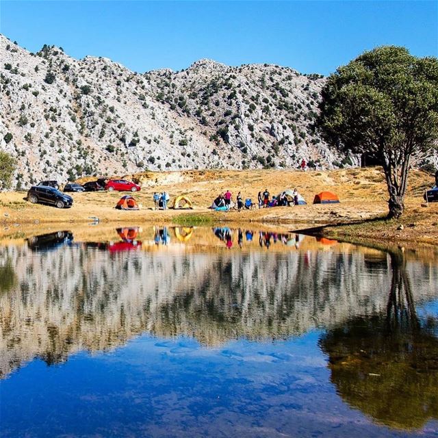 We always wing it when it comes to choosing a campsite and we always end... (El Laqloûq, Mont-Liban, Lebanon)