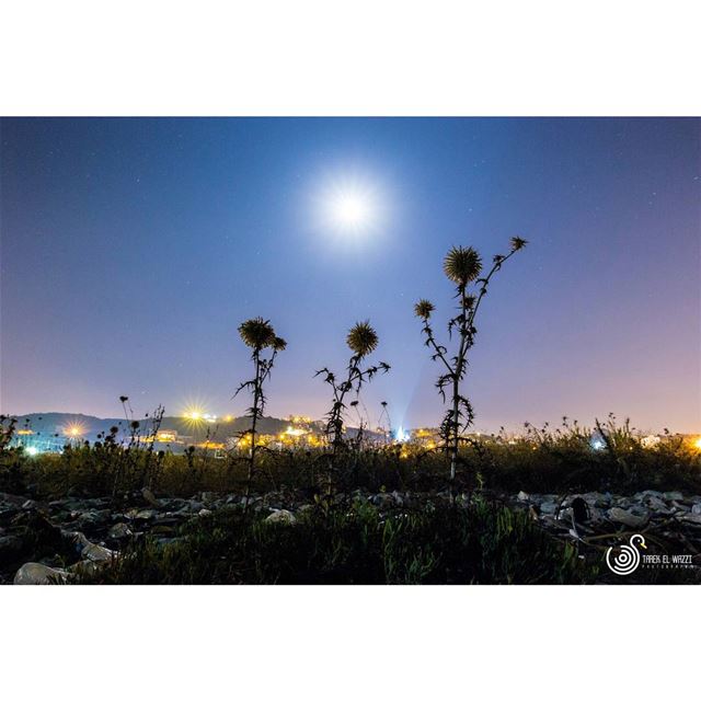 "We are family, i got all my sisters with me" nightsky  moonrise ... (Thoum/batroun-Lebanon)