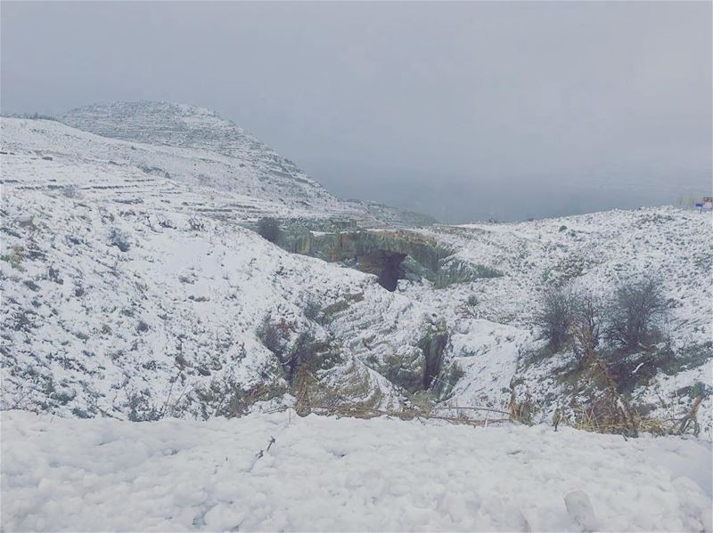 We are like a snowflake ❄️ , all different in our own beautiful way ❄️🌨🗻⛄ (Faraya, Mont-Liban, Lebanon)