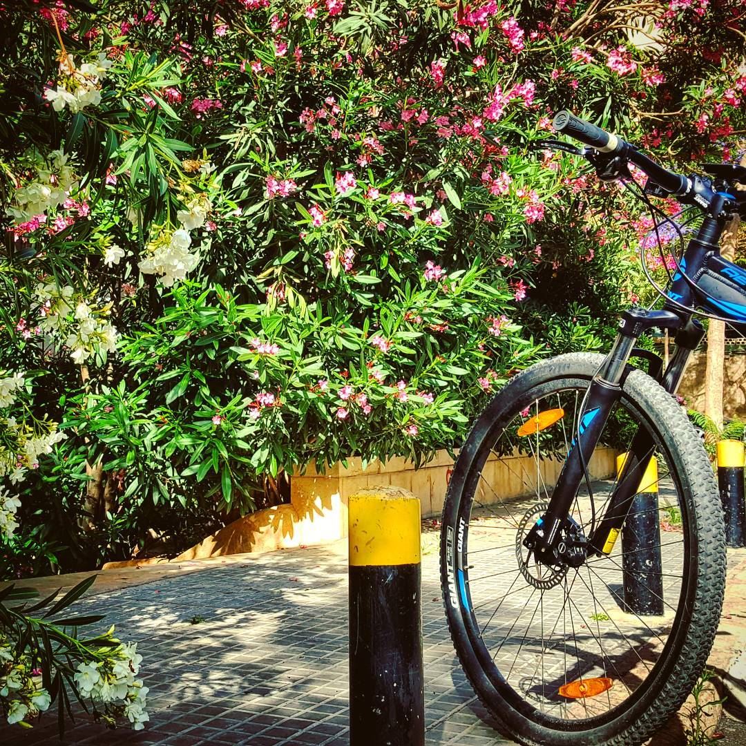 We are still breathing Spring..Breathing Life..My bike & I..🍃🍃🍃🌸🍃🍃 (Beirut, Lebanon)