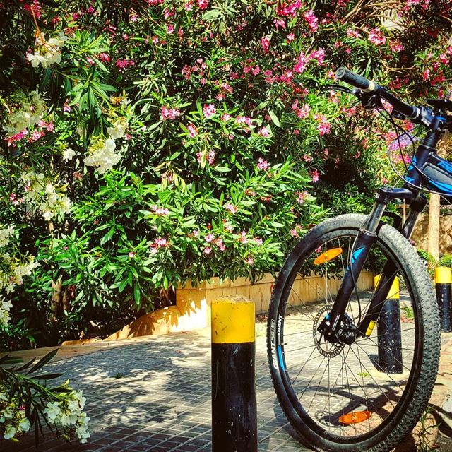We are still breathing Spring..Breathing Life..My bike & I..🍃🍃🍃🌸🍃🍃 (Beirut, Lebanon)